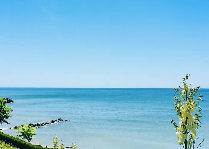 Apartello Modern - Casa Real In Apartamento *